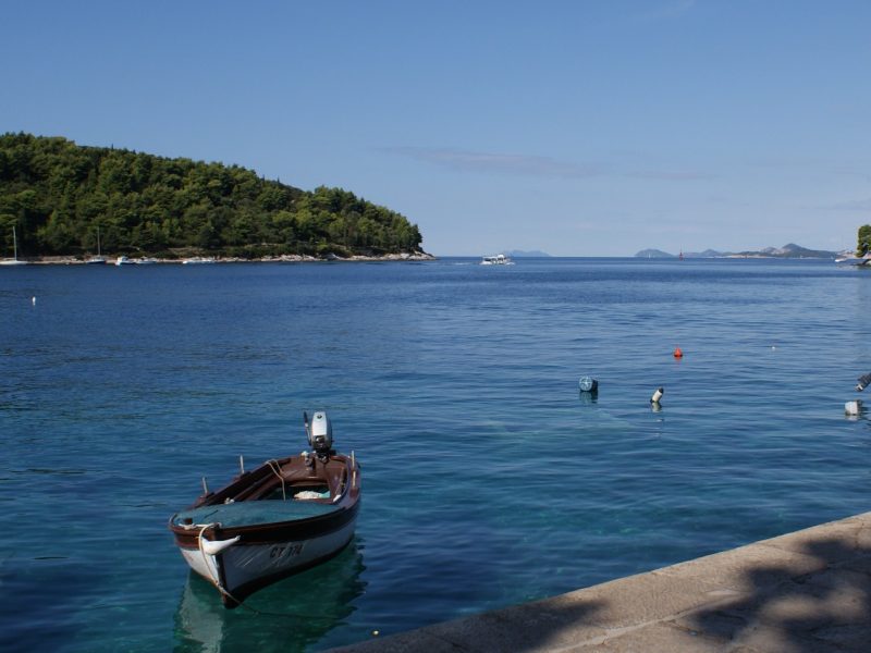 Small fishing boats moored in the calm blue waters of Cavtat bay, with a wooded island in the distance
