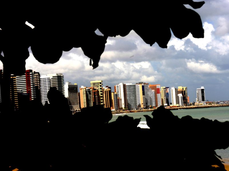 High-rise skyline of a Brazilian coastal city along the beach, framed by silhouetted foliage in the foreground