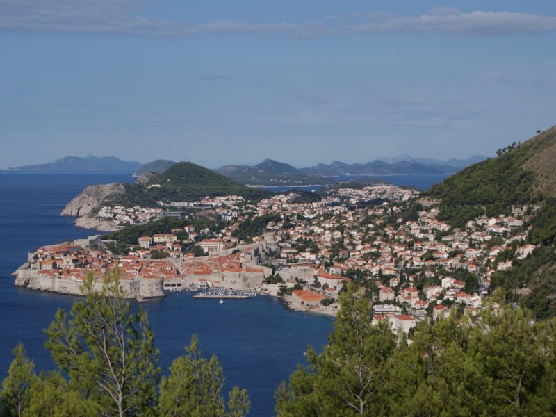 Wide aerial view of Dubrovnik's old town jutting into the sea, framed by pine trees